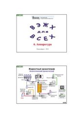 book Слайды к курсу лекций 'ВЭЖХ для ВСЕХ'. 2013 г