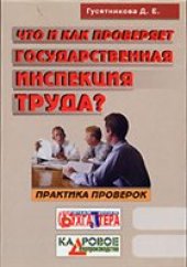 book Что и как проверяет государственная инспекция труда?: практика проверок