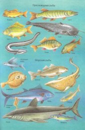 book Большой детский словарь. Часть 2