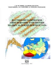 book Научно-методическое обоснование разработки малых залежей нефти и газа