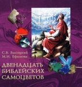 book Двенадцать библейских самоцветов