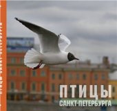 book Птицы Санкт-Петербурга