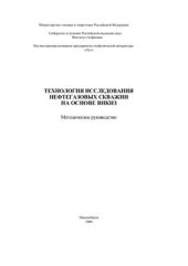 book Технология исследования нефтегазовых скважин на основе викиз