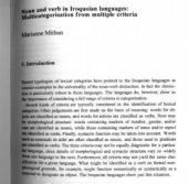 book Noun and verb in Iroquian languages: Multicategorisation from multiple criteria