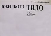 book Човешкото тяло. Учебник по пластична анатомия