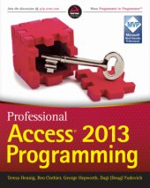 book Professional Access 2013 Programming