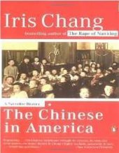 book The Chinese in America: a narrative history