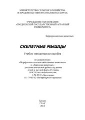 book Скелетные мышцы