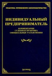 book Индивидуальный предприниматель