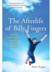 book The Afterlife of Billy Fingers: How My Bad-Boy Brother Proved to Me There's Life After Death