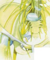 book Региональное обезболивание