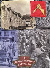 book Вооруженные силы стран антигитлеровской коалиции. 1939-1945 (Часть 2 из 2)