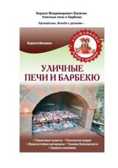 book Уличные печи и барбекю