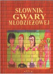 book Słownik gwary młodzieżowej