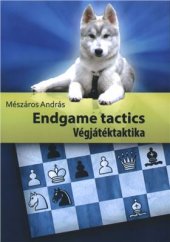 book Endgame Tactics