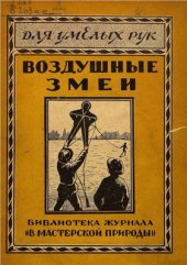 book Воздушные змеи