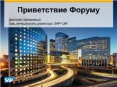 book Приветствие компании SAP. Экономическая безопасность как квинтэссенция развития ИБ