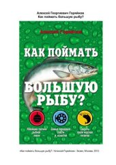 book Как поймать большую рыбу?