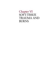 book War surgery in Afghanistan and Iraq: a series of cases, 2003-2007 (Atlas Chapter 6-7)