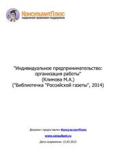 book Индивидуальное предпринимательство: организация работы