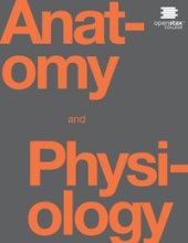 book Anatomy & Physiology