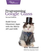 book Programming Google Glass: Build Great Glassware Apps with the Mirror API and GDK