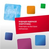 book Будущее ядерной энергетики. Реакторы на быстрых нейтронах