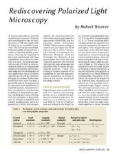 book Rediscovering Polarized Light Microscopy
