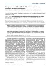 book Экспрессия генов ATF-1, ATF-3 и ATF-4 в очагах поражения у больных очаговой склеродермией