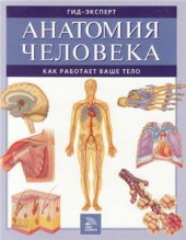 book Анатомия человека. Как работает ваше тело