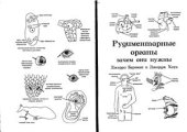 book Рудиментарные органы: зачем они нужны