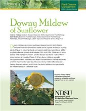 book Downy Mildew of Sunflower