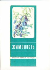 book Жимолость Рабочая таблица по уходу