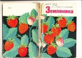 book Земляника