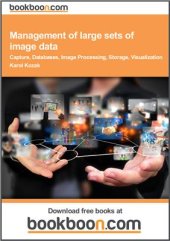 book Management of Large Sets of Image Data. Capture, Databases, Image Processing, Storage, Visualization