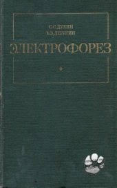 book Электрофорез