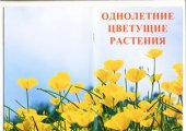 book Однолетние цветущие растения