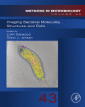 book Imaging Bacterial Molecules, Structures and Cells