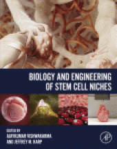 book Biology and Engineering of Stem Cell Niches