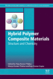 book Hybrid Polymer Composite Materials. Structure and Chemistry