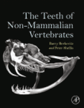 book The Teeth of Non-Mammalian Vertebrates