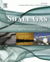 book Shale Gas. Exploration and Environmental and Economic Impacts