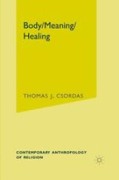 book Body/Meaning/Healing