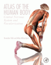 book Atlas of the Human Body. Central Nervous System and Vascularization