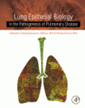 book Lung Epithelial Biology in the Pathogenesis of Pulmonary Disease