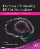 book Essentials of Noncoding RNA in Neuroscience. Ontogenetics, Plasticity of the Vertebrate Brain