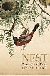 book Nest : the art of birds