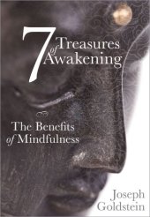 book 7 treasures of awakening : the benefits of mindfulness