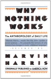 book Why nothing works : the anthropology of daily life; updated with a new preface