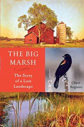 book The Big Marsh : the story of a lost landscape